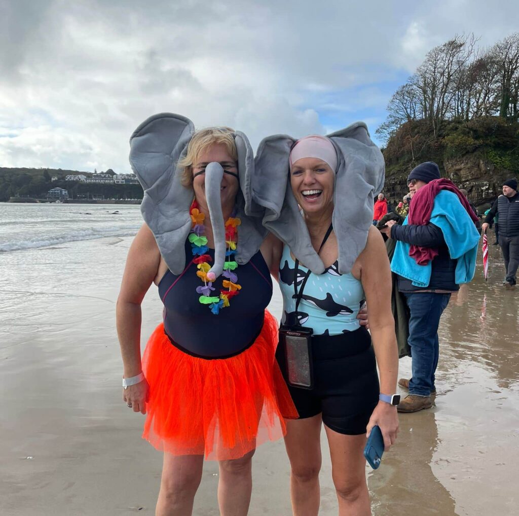 elephant dip 2wish 19