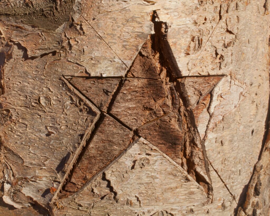 star shape carved into tree bark