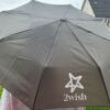 umbrella 1