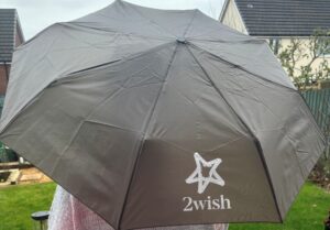 umbrella 1