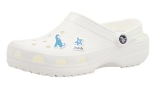 croc charms
