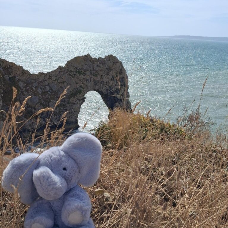 565926437_122229435056122867_5913954364903355879_n