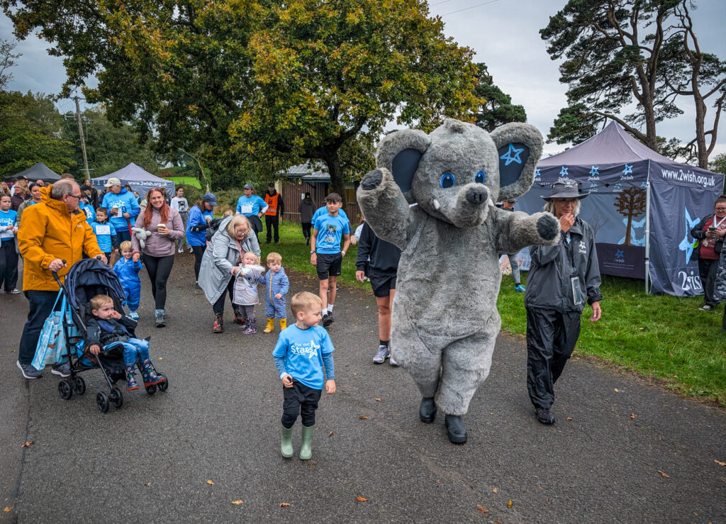 2wish memory walk