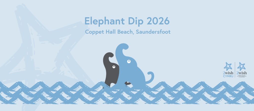 2wish elephant dip web banner