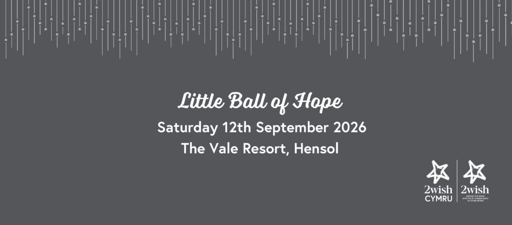 2wish Little Ball of Hope promotional image