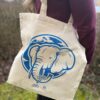 BAG2