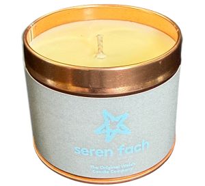 2 Wish Candle Rose Gold tin